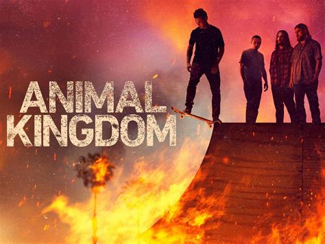 watch animal kingdom flixtor|yts Guest Artist 2019 Watch HD Full Movie Online Free.